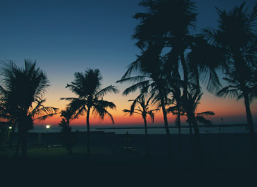 Banner Category