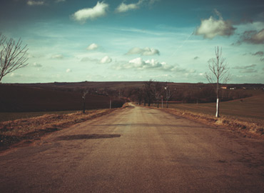 Banner Category